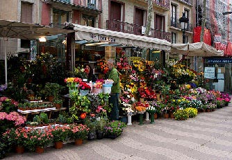 La Rambla blomster