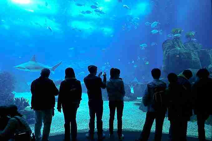 oceamario-de-lisboa-lissabon